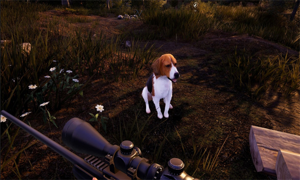 荒岛探险家游戏下载-荒岛探险家安卓版下载 v300.1.1.3018官方版 게임 스크린샷 2