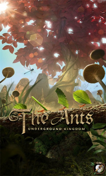 小小蚁国国际版(The Ants)